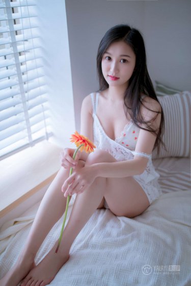昭文君