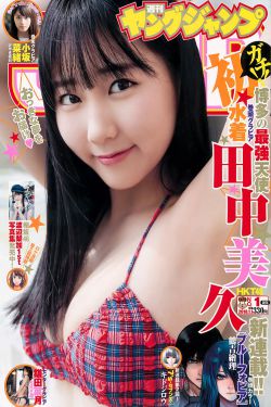宫锁珠帘