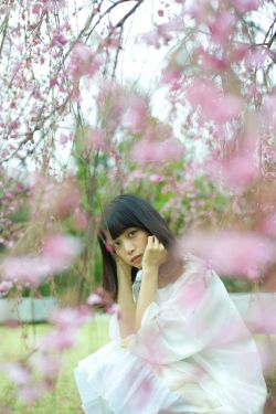 那年花开月正圆在线观看全集免费