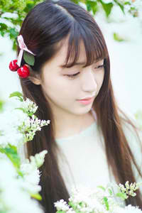 爱似百汇电视剧