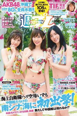 《儿女传奇之家有悍妇》