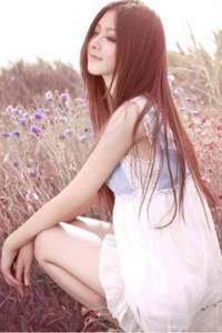 女王蜂