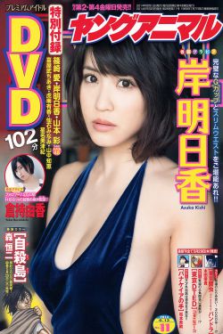 红娘子 电视剧